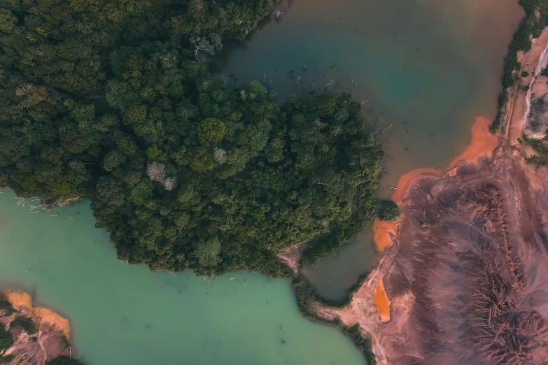 an aerial view of a river surrounded by trees, pexels contest winner, environmental art, an island made of red caviar, muted colors. ue 5, colombian jungle, soaring over a lake in forest