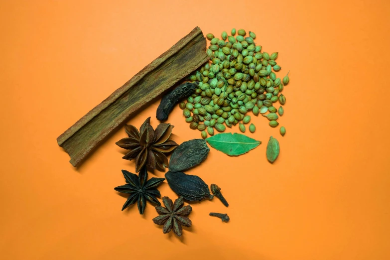 an assortment of spices on an orange background, a still life, trending on pexels, hurufiyya, jade green, asian hyperdetailed, ✨🕌🌙, brown and cyan color scheme