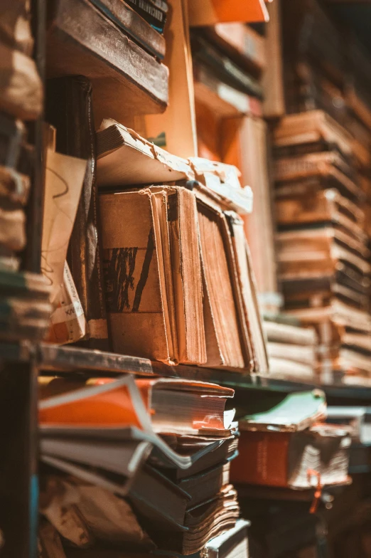 a book shelf filled with lots of books, an album cover, by Konrad Witz, unsplash, renaissance, piles of paperwork, inspect in inventory image, brown, grungy