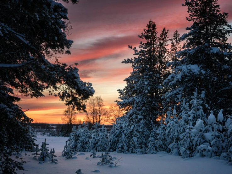 a snow covered forest with a sunset in the background, by Veikko Törmänen, pexels contest winner, colourful sky, thumbnail, multiple stories, evergreen branches