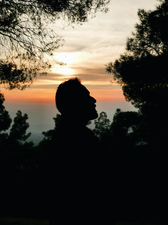 silhouetted person with trees at sunset against the horizon