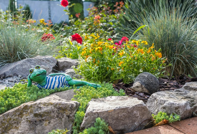 a frog that is laying on some rocks, by Robert Richenburg, figuration libre, in a cottagecore flower garden, multi - coloured, ornamental rober, garden at home