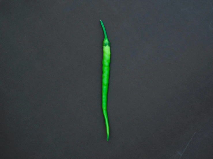 a green pepper on a black background, a digital rendering, trending on pexels, hurufiyya, cat tail, 1 / 1 6 th scale, on a gray background, whole-length