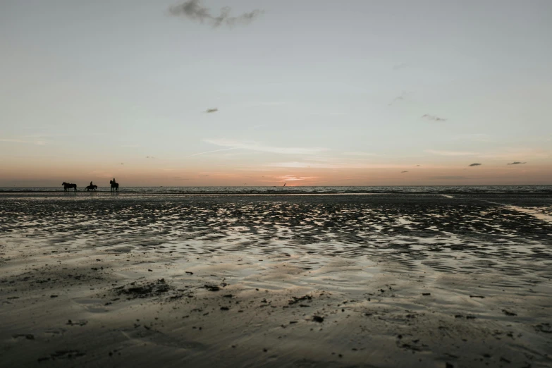 a couple of people standing on top of a sandy beach, during a sunset, omaha beach, unsplash 4k, low quality photo