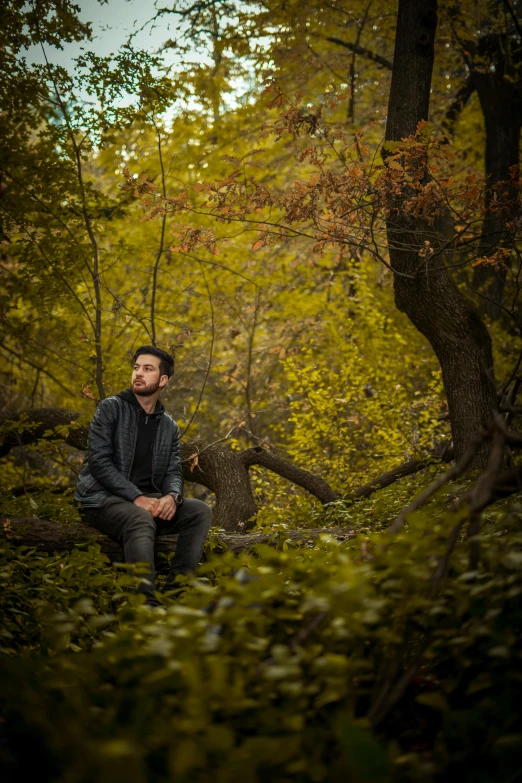 a man sitting on a log in the woods, inspired by Elsa Bleda, realism, color ( sony a 7 r iv, portrait 8 k, screensaver, a handsome