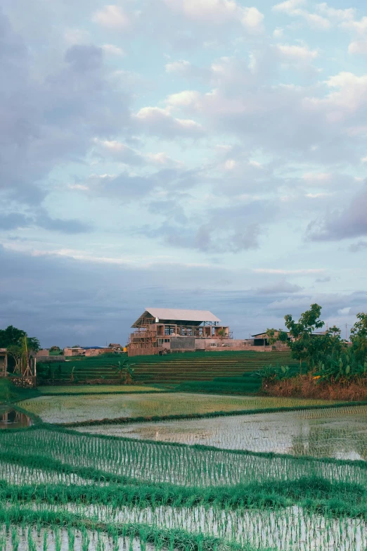a rice field with a house in the background, early evening, shipibo, golf course, joel sternfeld