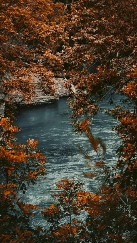 a river running through a lush green forest, an album cover, inspired by Elsa Bleda, pexels contest winner, hurufiyya, autum, blue and orange tones, detailed medium format photo, alessio albi