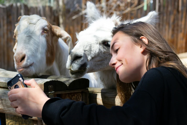 a woman taking a picture of two goats, a picture, zoo photography, college, 🦩🪐🐞👩🏻🦳, unsplash photo contest winner