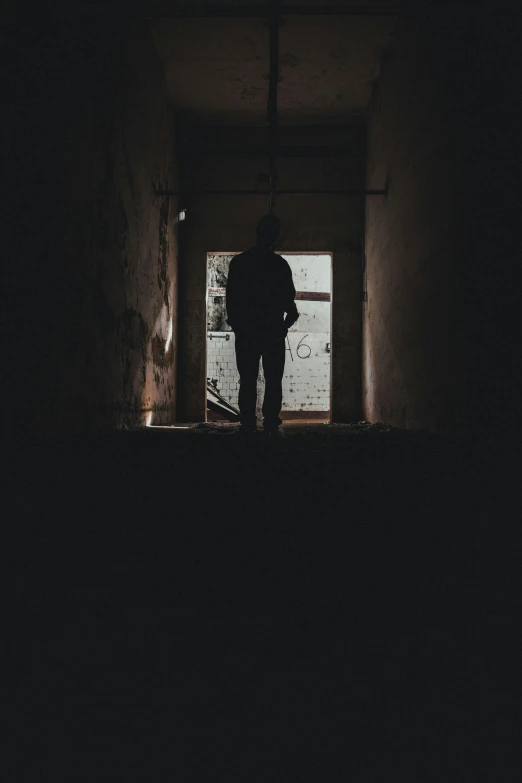 the silhouette of a person stands in a dark hallway, looking at a street lamp