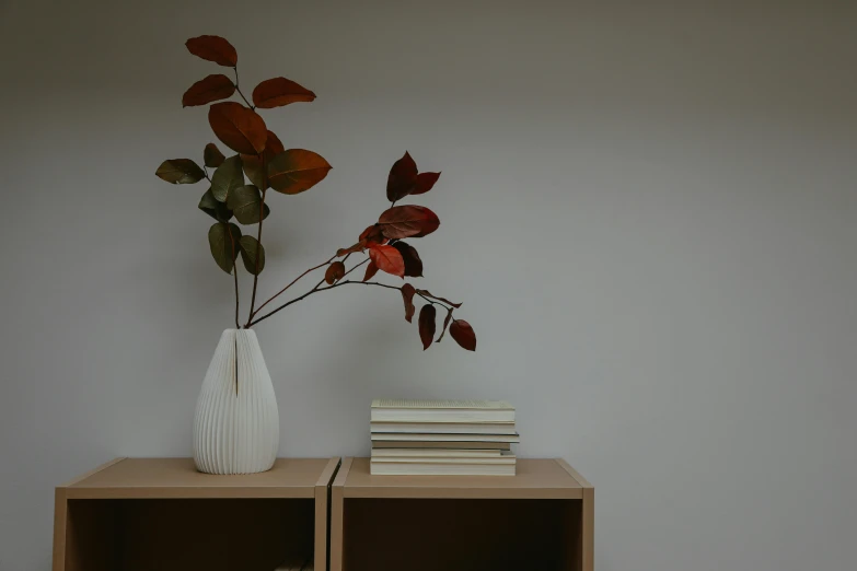 a white vase sitting on top of a wooden table, inspired by Constantin Hansen, unsplash contest winner, short bookshelf, red leaves, all white render, modern minimalist f 2 0