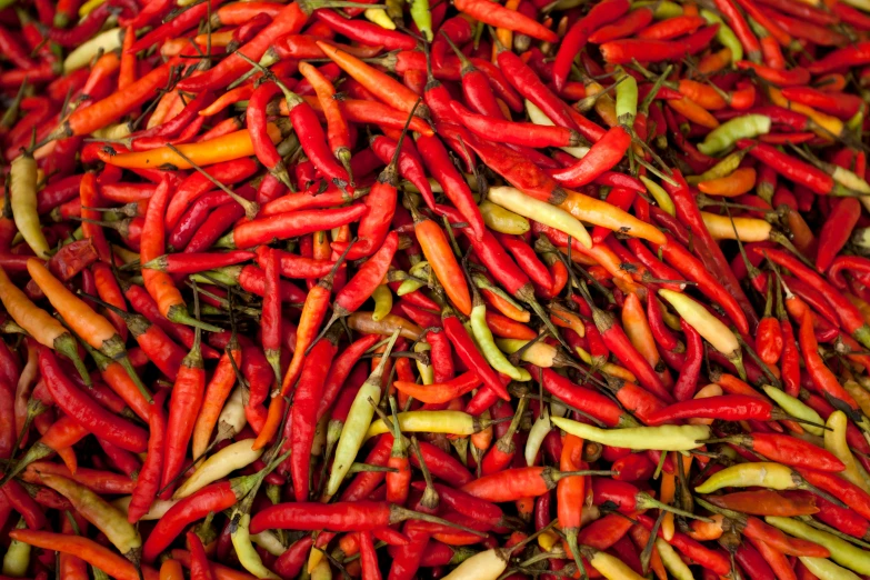 a pile of red and green chili peppers, pexels, renaissance, thailand, instagram post, flame everywhere, avatar image