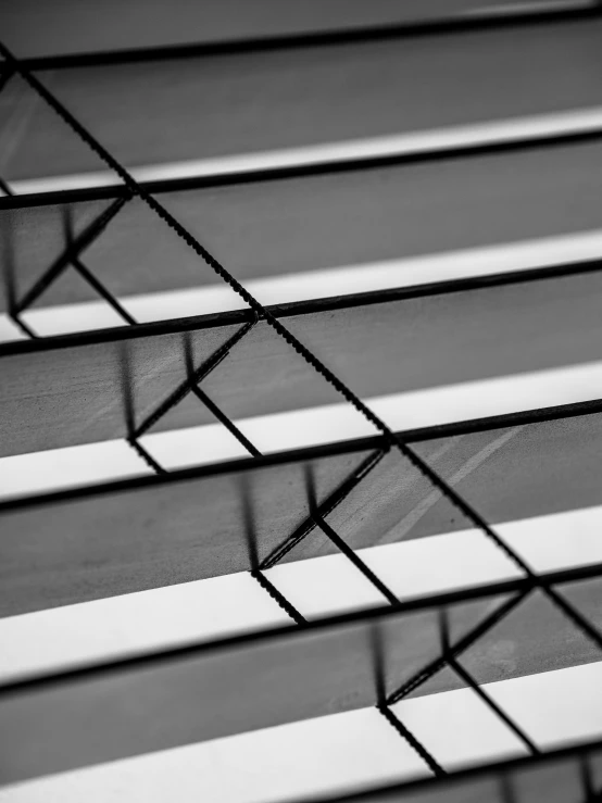 a black and white photo of a set of stairs, by Kristian Kreković, op art, soft light through blinds, macro up view metallic, clear lines!!, by greg rutkowski