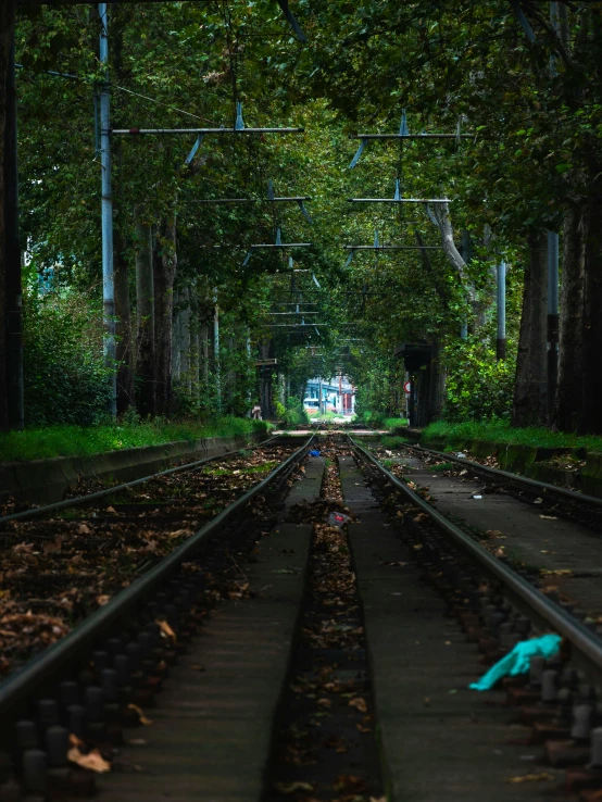 an empty train track surrounded by trees and leaves, an album cover, pexels contest winner, realism, ground level view of soviet town, trams ) ) ), medium shot taken from behind, street of teal stone