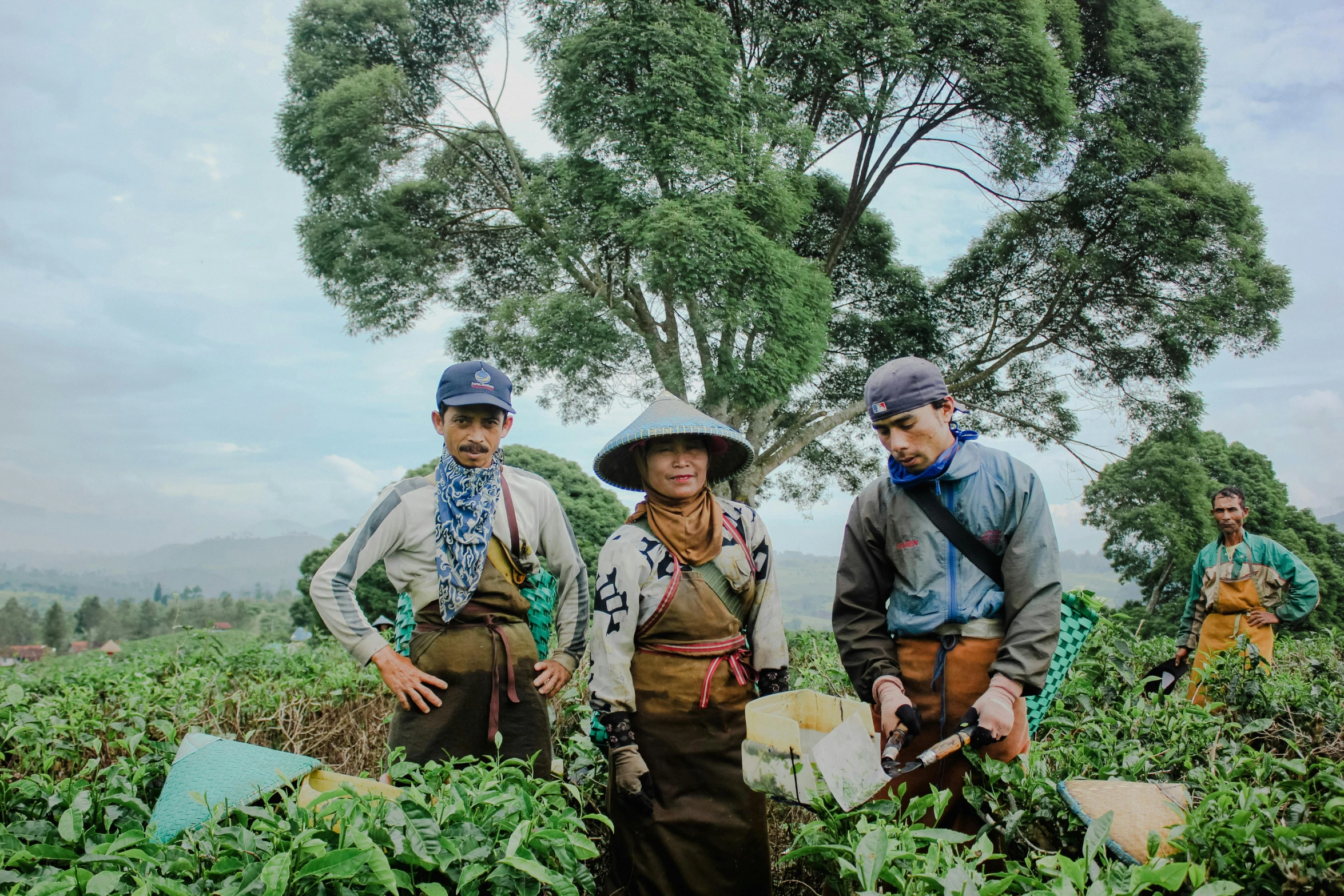 a group of people standing on top of a lush green field, a colorized photo, by Basuki Abdullah, pexels contest winner, sumatraism, holding a boba milky oolong tea, workers, traditional costume, avatar image