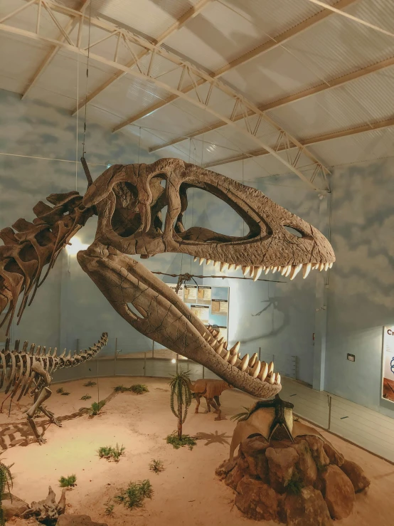 a dinosaur skeleton on display in a museum, by Gwen Barnard, slide show, a high angle shot, slate, february)