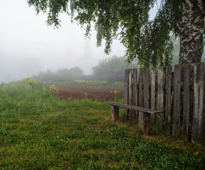 a bench that is in the grass near some trees