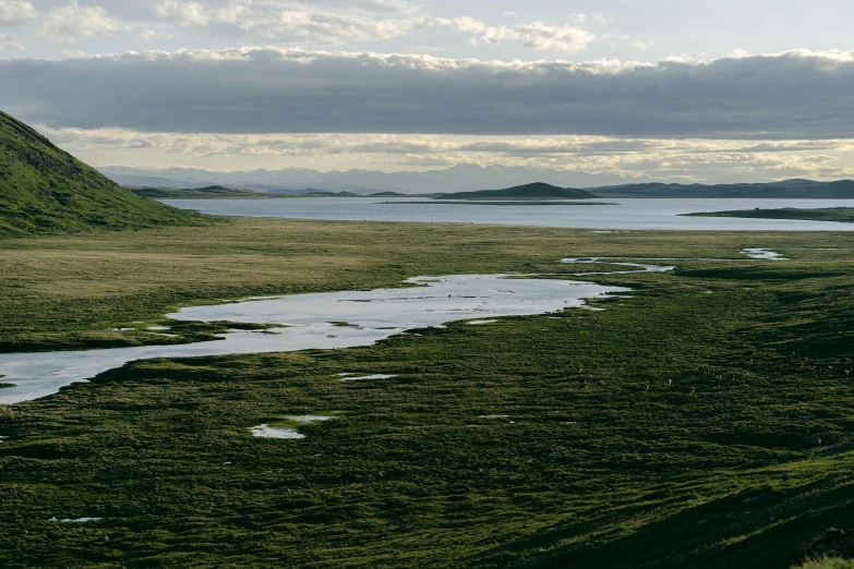 small stream running between grassy hills on cloudy day