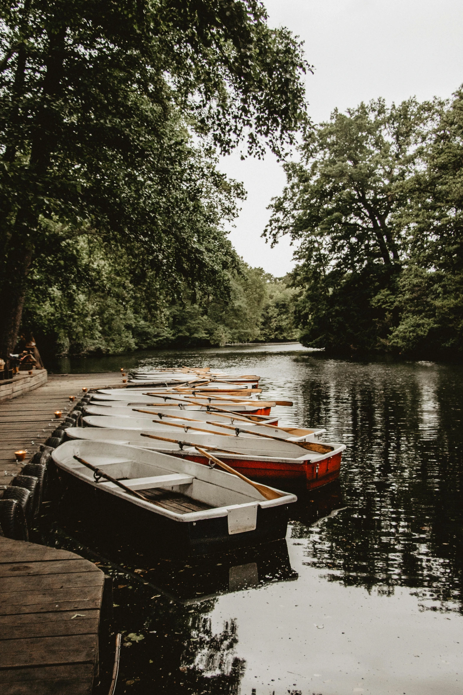 a group of boats sitting on top of a river, a photo, pexels contest winner, german romanticism, berlin park, serene forest setting, kreuzberg, today\'s featured photograph 4k