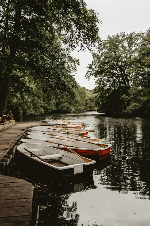 a group of boats sitting on top of a river, a photo, pexels contest winner, german romanticism, berlin park, serene forest setting, kreuzberg, today\'s featured photograph 4k
