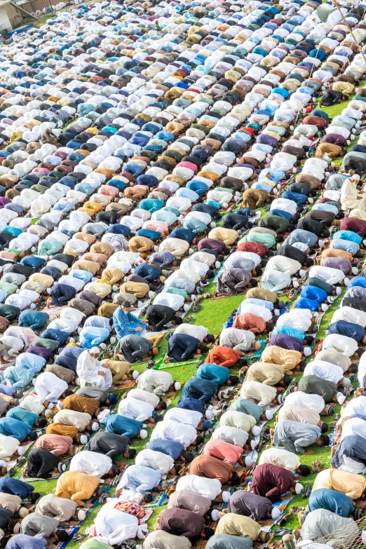 a large group of people sitting on top of a grass covered field, with beautiful mosques, umbrellas, 2 5 6 x 2 5 6, doing a prayer