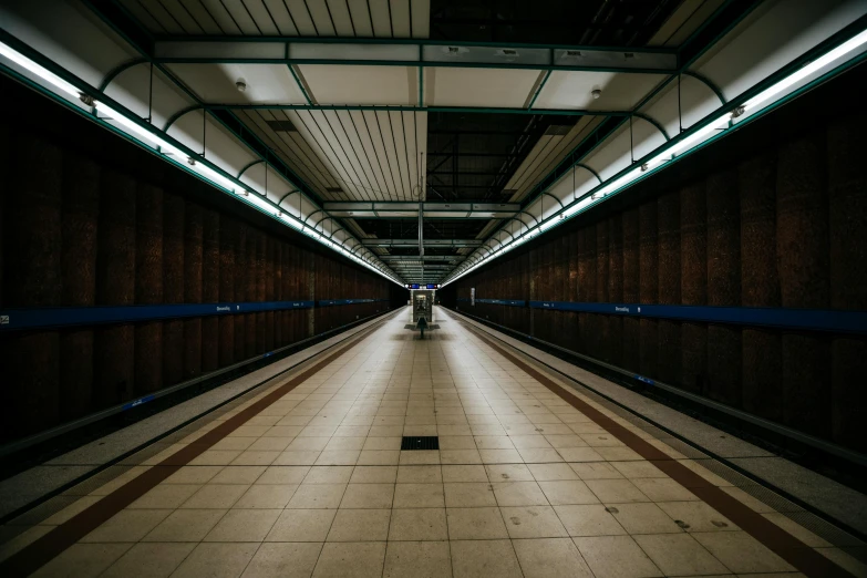 a long hallway with a person walking down it, pexels contest winner, hyperrealism, london underground tube station, brown, scifi platform, thumbnail