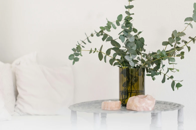 a vase filled with green leaves sitting on top of a table, a marble sculpture, inspired by Eden Box, trending on unsplash, minimalism, rose quartz, candles in foreground, relaxing on a couch, crystals