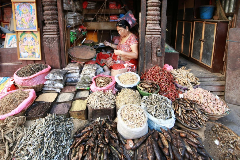 a woman sitting in front of a pile of dried fish, flickr, herbs, shops, nepal, anthropology photo”