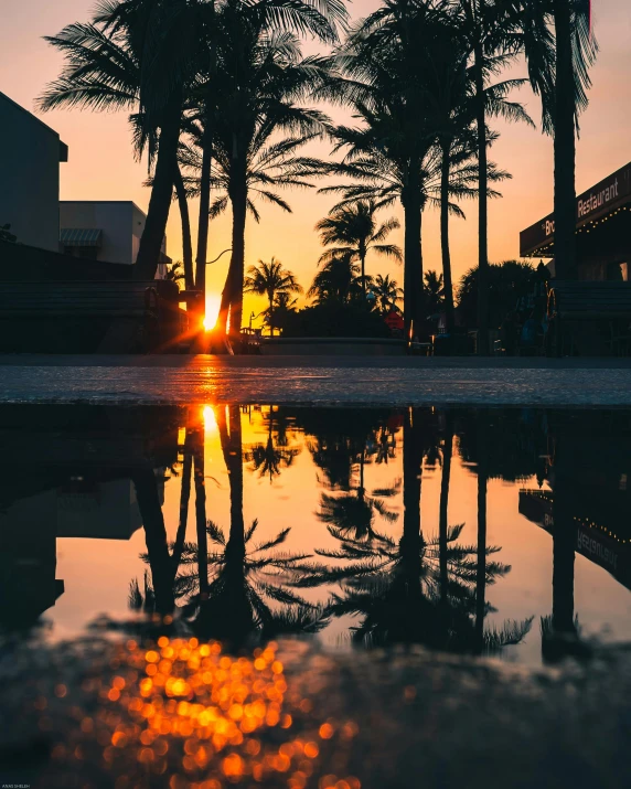 a reflection of palm trees in a pool at sunset, by Robbie Trevino, unsplash contest winner, wet reflections in square eyes, today\'s featured photograph 4k, outdoors tropical cityscape, on the beach during sunset