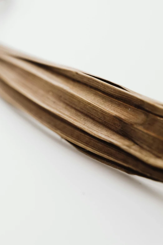 a pair of scissors sitting on top of a table, of bamboo, intricate fluid details, zoomed in, single long stick