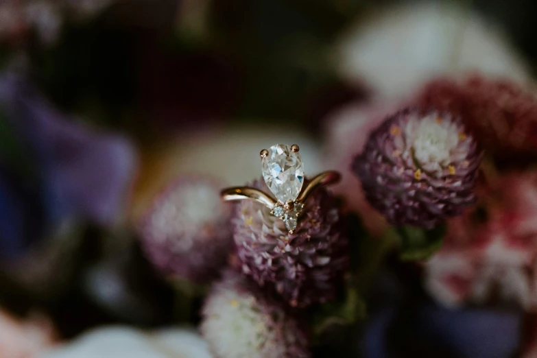 a diamond ring sitting on top of a purple flower, by Emma Andijewska, pexels contest winner, ivory and copper, detailed surroundings, thumbnail, various posed