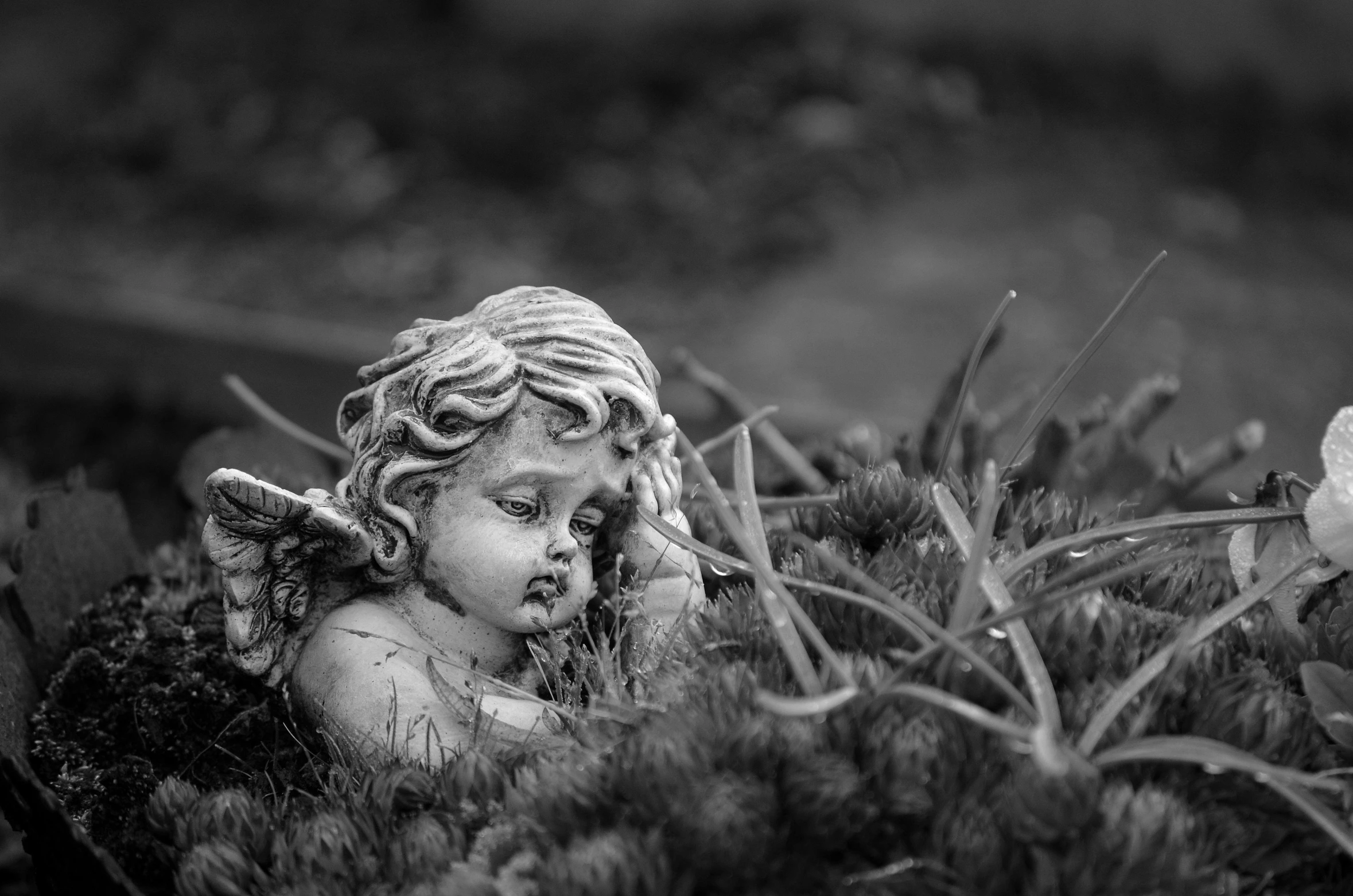 a statue sitting on top of a lush green field, a black and white photo, by Matthias Weischer, pixabay contest winner, baroque, young wan angel, dead child, with soft bushes, holiday season
