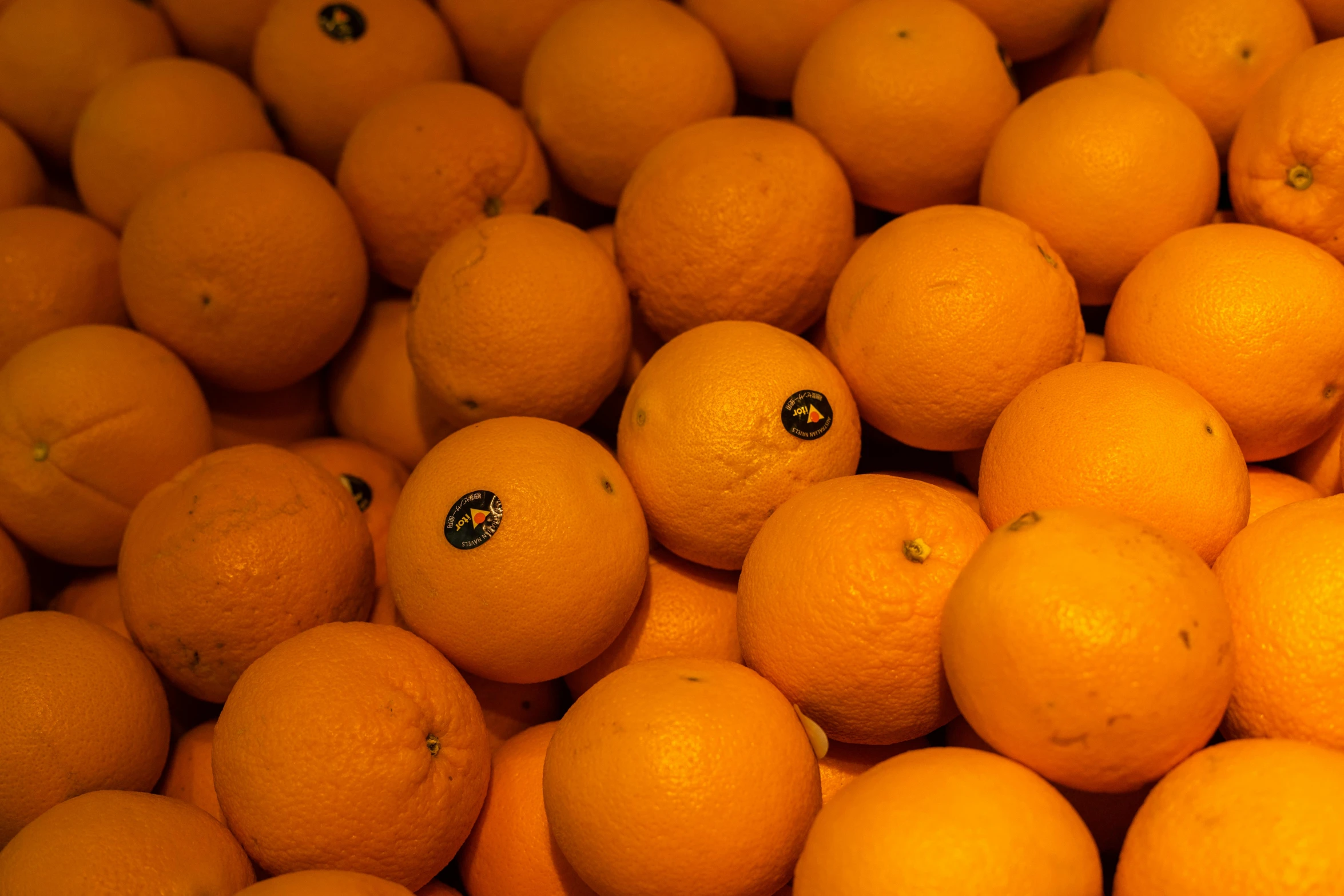 a pile of oranges sitting on top of each other, shot with sony alpha 1 camera, 2000s photo, uncrop, round faced