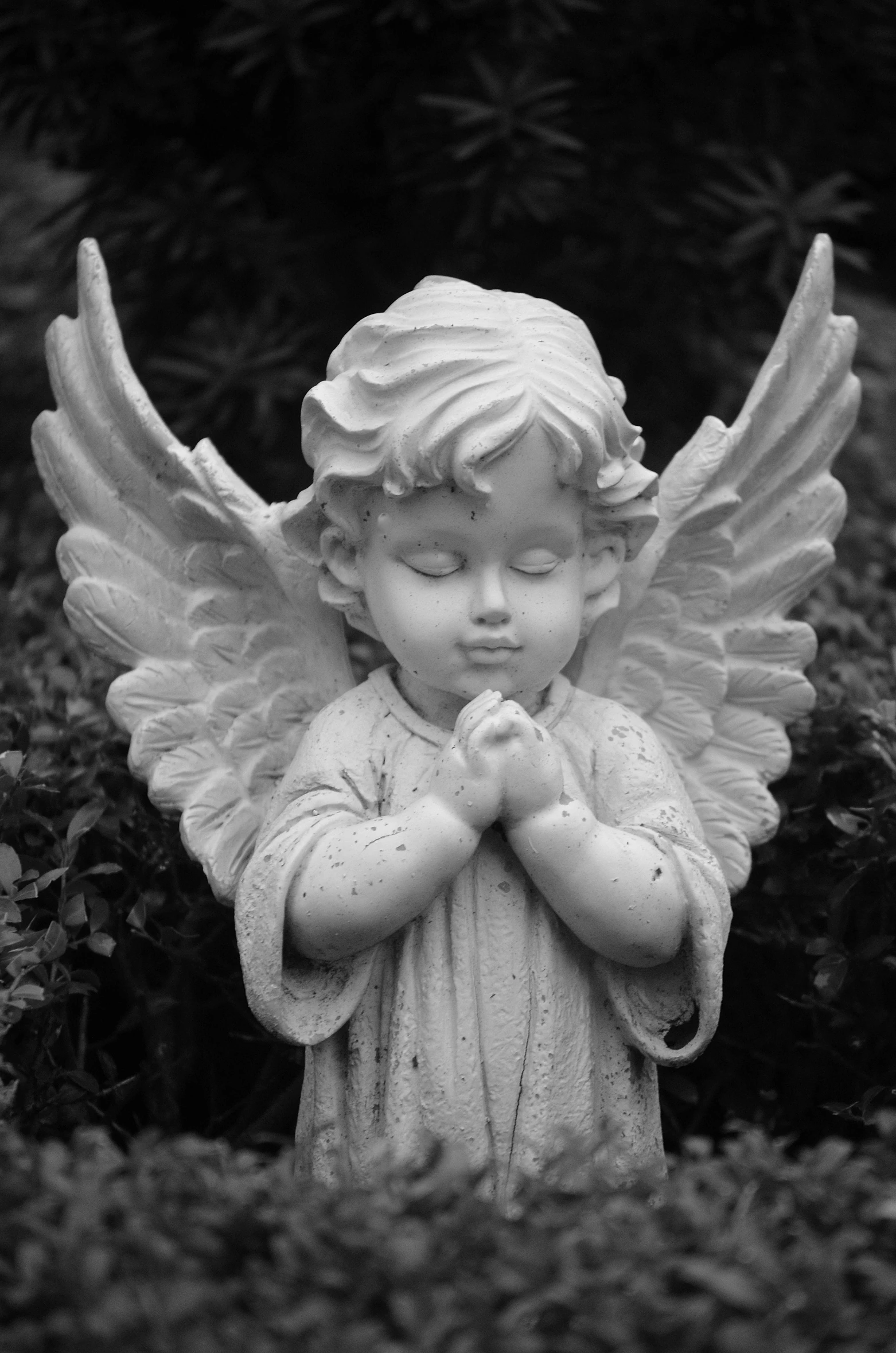a statue of an angel praying in a garden, pixabay contest winner, icon black and white, innocent face, with wings. ultra-detailed, child