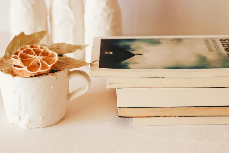 a stack of books sitting on top of a table, a polaroid photo, by Lucia Peka, pexels contest winner, romanticism, white mug, soft muted colors, background image, books and flowers