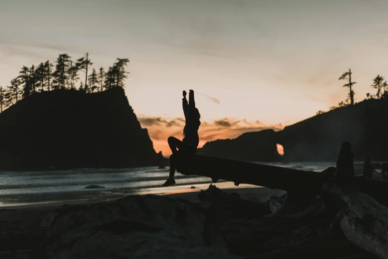 a person doing a handstand on a log on a beach, by Jessie Algie, pexels contest winner, pacific northwest coast, dusk setting, lotus pose, background image