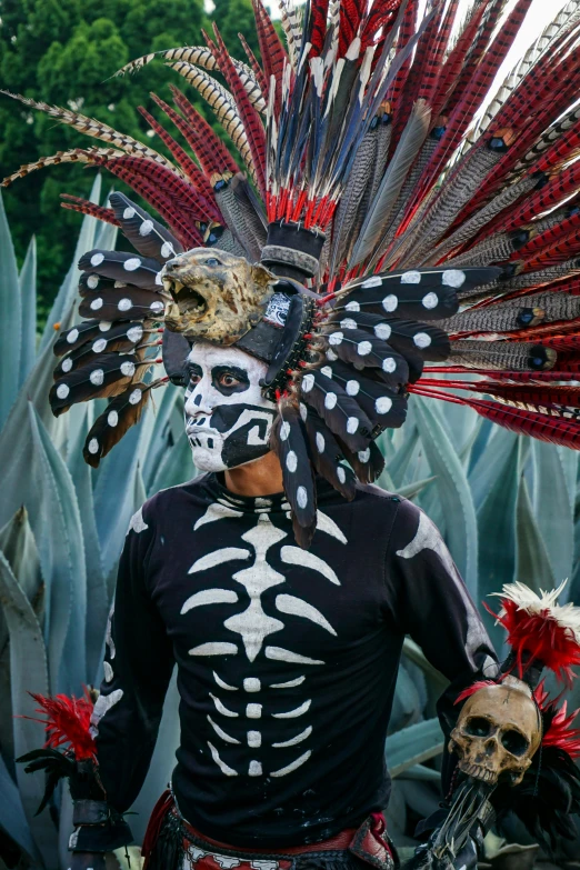 a man wearing a skeleton headdress and feathers, pexels contest winner, giant aztec space city, slide show, spines, actor