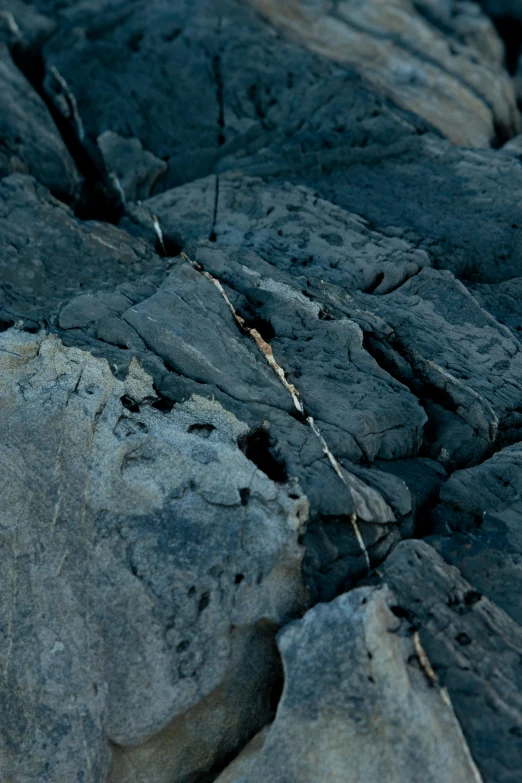 the rocks have a thin vine between them