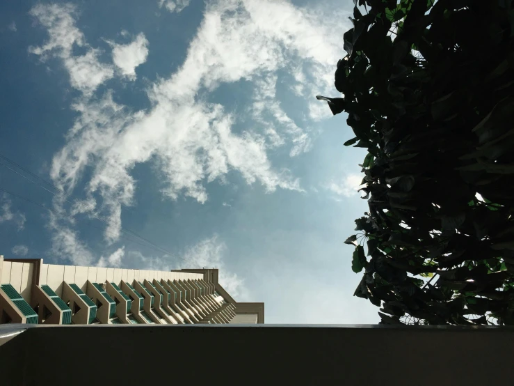 a tall building sitting next to a lush green tree, an album cover, unsplash, brutalism, panorama view of the sky, set on singaporean aesthetic, looking up into the sky, overview