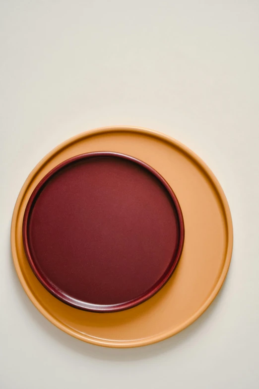 a close up of a plate on a table, inspired by Anish Kapoor, trending on unsplash, conceptual art, gradient maroon, ocher, carrying a tray, duo tone