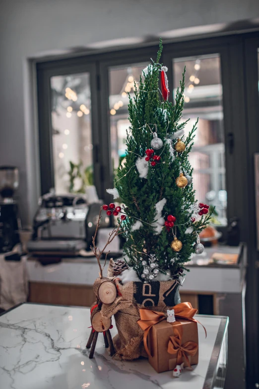 a christmas tree in a vase with ribbons on a counter