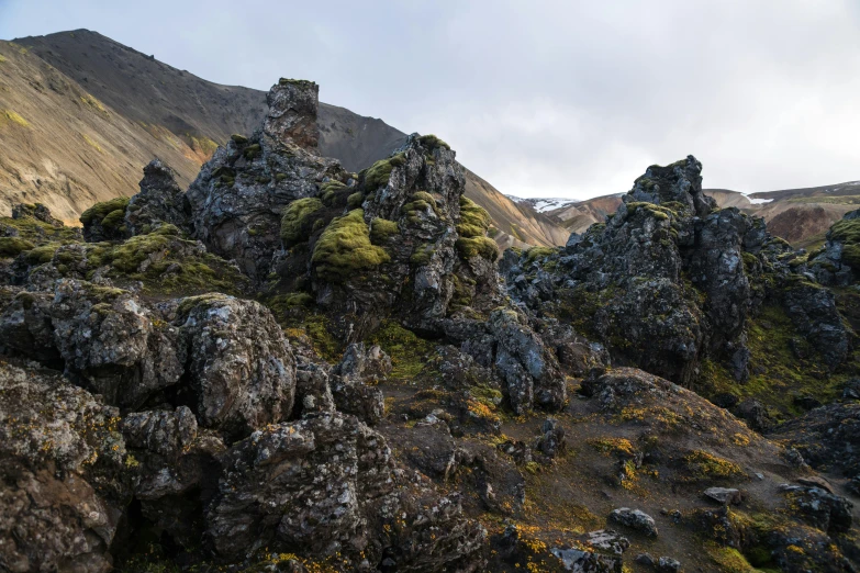 moss covered rocks and dry brush in front of some hills