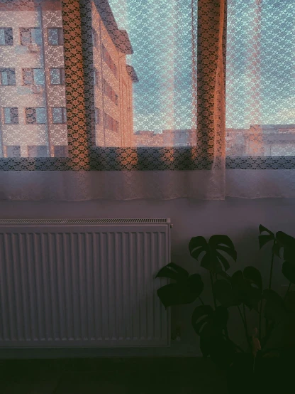 there are trees that are on the windowsill