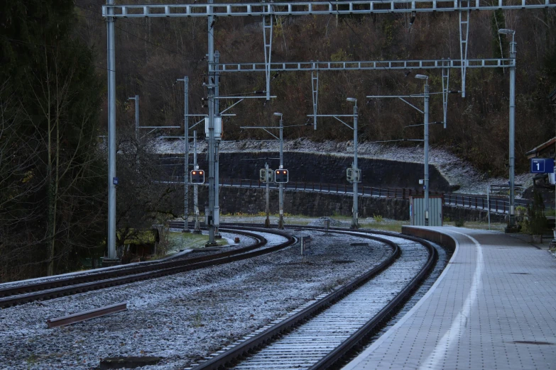 a train traveling down train tracks next to a forest, by Kristian Zahrtmann, unsplash, figuration libre, electrical signals, photo of zurich, january 20th, flooded station