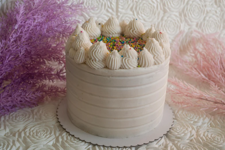 a close up of a cake with frosting and sprinkles, a pastel, renaissance, white neon wash, various sizes, petite, bakery