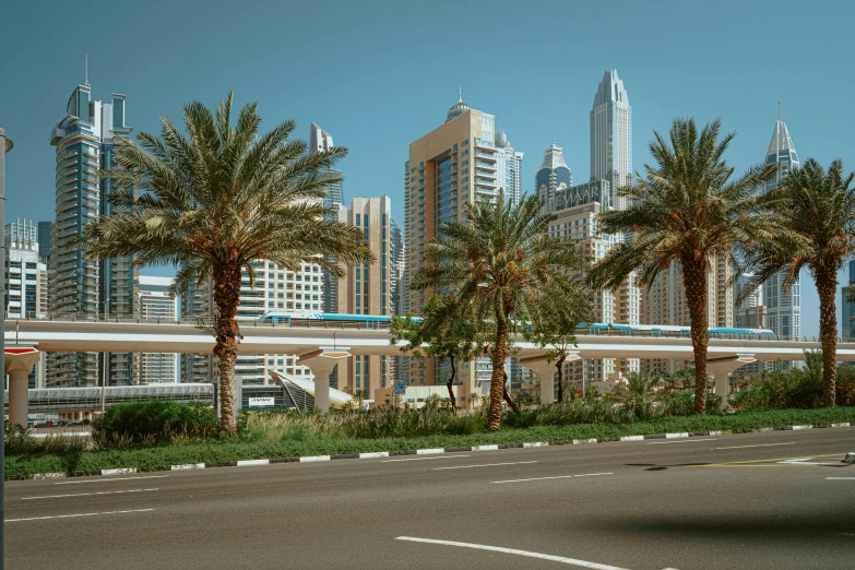 there are palm trees on the side of the road, a detailed matte painting, inspired by Victor Enrich, pexels contest winner, hyperrealism, gta : dubai, super wide view of a cityscape, high res 8k, taken in the late 2010s