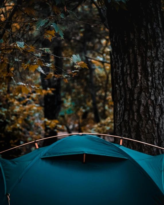 a tent pitched up next to a tree in the woods, unsplash contest winner, hurufiyya, copper and deep teal mood, surrounding the city, thumbnail, high quality photo