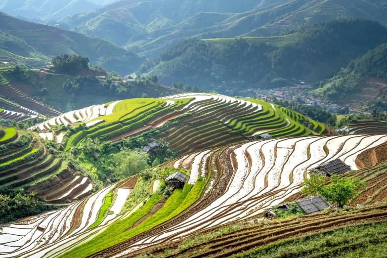 an outdoor field with some rice terraces growing on the sides