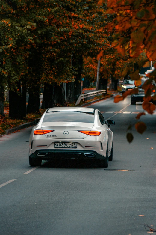 a car on a street with fall leaves