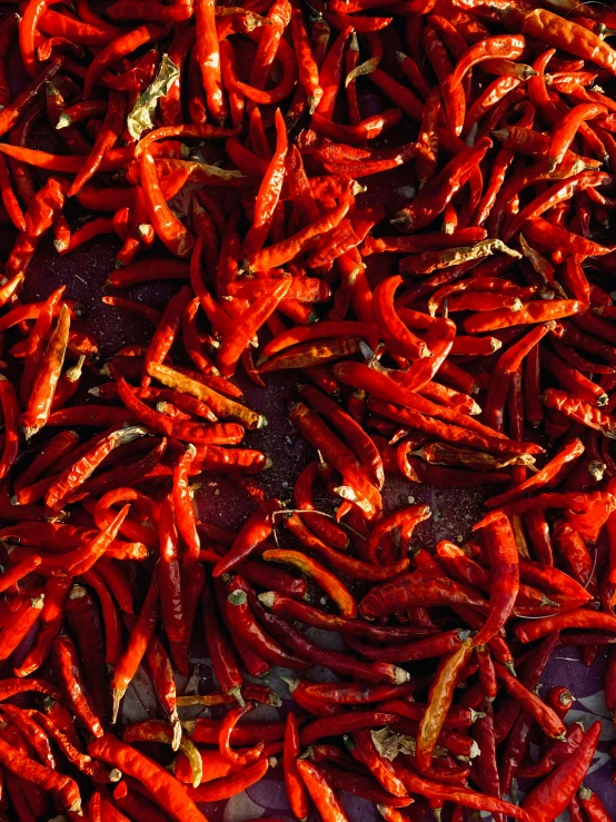 a pile of red peppers sitting on top of a table, multiple stories, 3 4 5 3 1, birdseye view, winter sun