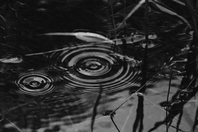 a black and white po with a reflection of water